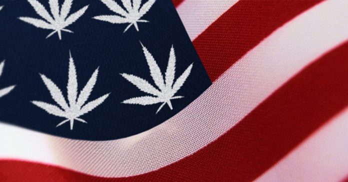 głosowanie nad legalizacją marihuany w USA