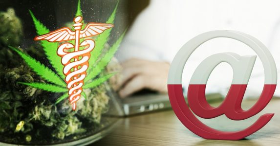 internauci marihuana medyczna