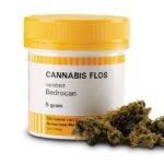 Bedrocan pierwszy producent Marihuany Medycznej