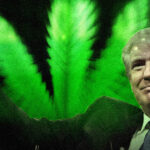 zaprzysiezenie Trumpa trawa