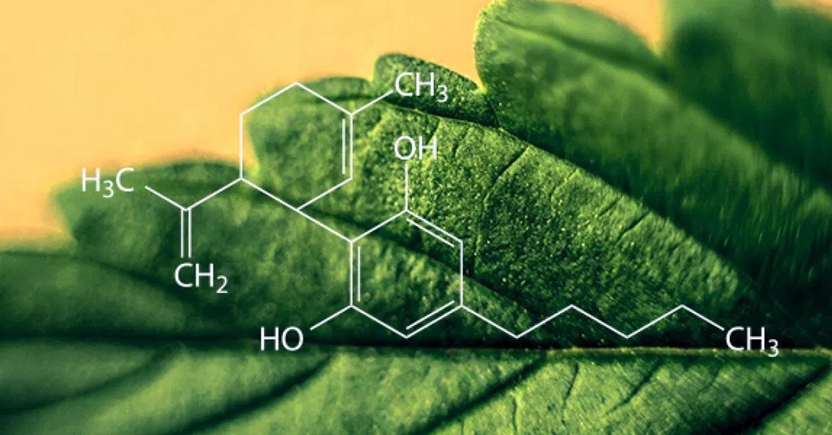 8 realnych zastosowań CBD