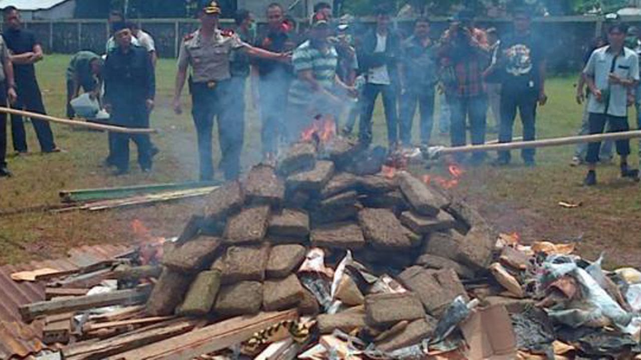 Ognisko z marihuany w Indonezji