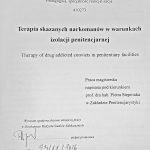 Terapia skazanych narkomanów w warunkach izolacji penitencjarnej - Katarzyna Michałek