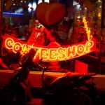 Komercyjna uprawa konopi w Holandii