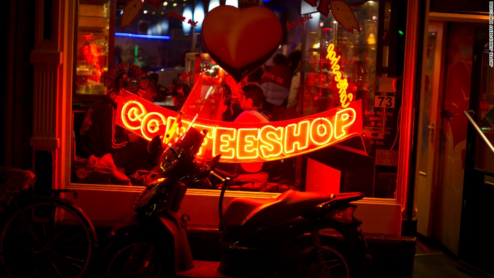 Komercyjna uprawa konopi w Holandii