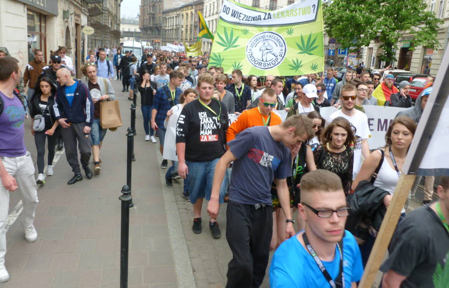 marsz wyzwolenia konopi 2017