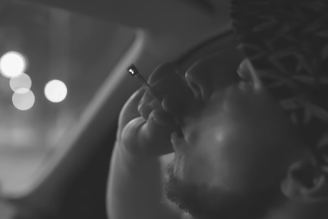 Emson - Zielony Liść