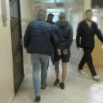 Plantacja konopi w Działdowie