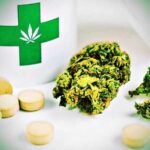 Kiedy kupimy medyczna marihuane w aptece?