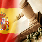 Kluby konopne w hiszpanii nielegalne