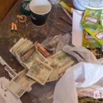 Ponad kilogram marihuany, prawie sto krzaków konopi indyjskich, extasy, kokainę oraz sprzęt do uprawy - policjanci z Ostrołęki zlikwidowali plantację marihuany w centrum miasta.