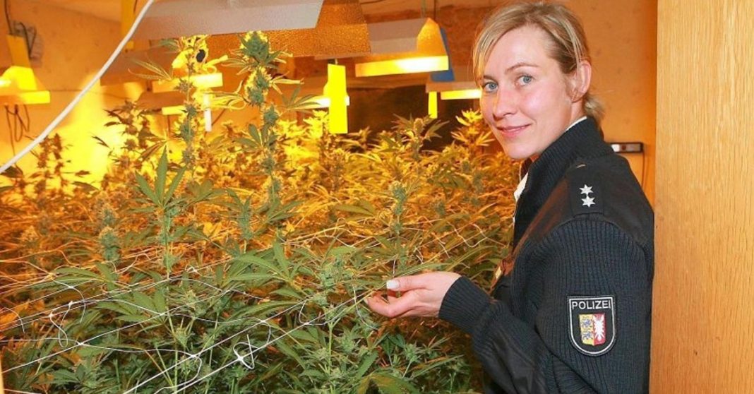 niemiecka policja chce legalizacji marihuany