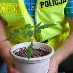Palili zioło w szpitalu bielska policja cannabisnews