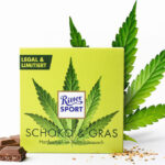 ritter sport czekolada konopna schoko grass marihuana