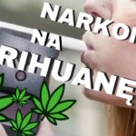 Amerykańscy naukowcy opracowali narkoamt do wykrywania kokainy. Czy będzie narkomat wykrywający marihuanę?