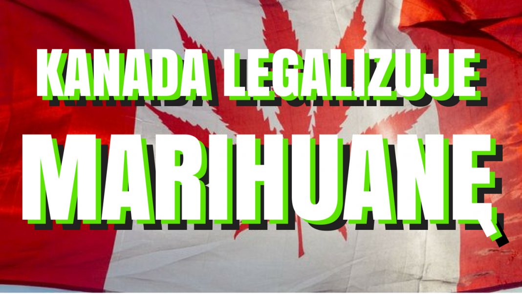 Kanada zalegalizowała marihuanę