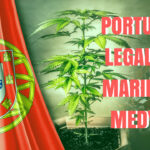 Portugalia zalegalizowała marihuane medyczną. Będzie ona dostępna na receptę dla pacjentów.