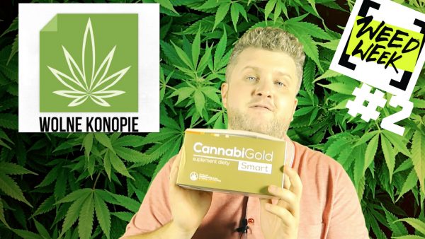 Nowy WeedWeek – rosyjska modelka w więzieniu, ksiądz zawieszony za ciasteczka a Ziobro wsadza do więzienia za 1,2 kg marihuany