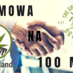 HEMPOLAND I KANADYJSKA FIRMA THE GREEN ORGANIC DUTCHMAN PODPISALY UMOWE WARTA 100 MILIONOW ZŁOTYCH