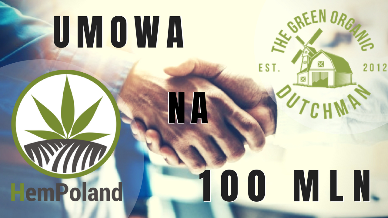 HEMPOLAND I KANADYJSKA FIRMA THE GREEN ORGANIC DUTCHMAN PODPISALY UMOWE WARTA 100 MILIONOW ZŁOTYCH