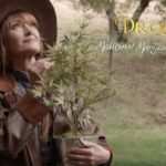 Dr quinn na haju. Kultowy serial i jego głowna bohaterka leczy medyczną marihuaną