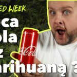 Coca Cola z marihuaną, w Kanadzie płacą za palenie zioła, zjarane homary i medyczna marihuana w Polsce - Weedweek