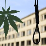 W Malezji skazano człowieka za leczenie ludzi medyczna marihuaną