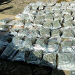 Młode małżeństwo z Kielc przewoziło w samochodzie 30 kg marihuany. Zostali zatrzymani przez Kielecka policję. Grozi im co najmniej 3 lata więzienia.