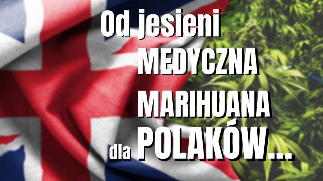 Wielka brytania legalizuje medyczną marihuanę. Medyczna marihuana bedzie dostepna w UK od jesieni 2018
