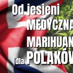 Wielka brytania legalizuje medyczną marihuanę. Medyczna marihuana bedzie dostepna w UK od jesieni 2018