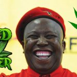 Południowa Afryka zalegalizowała marihuanę