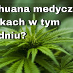 Czy marihuana medyczna będzie dostępna w aptece jeszcze w tym tygodniu?