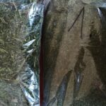 Jest to już kolejne zatrzymanie związane z marihuaną na terenie powiatu sokołowskiego. W domu 38-letniego mężczyzny zabezpieczono 10,5 kg suszu konopi indyjskich.