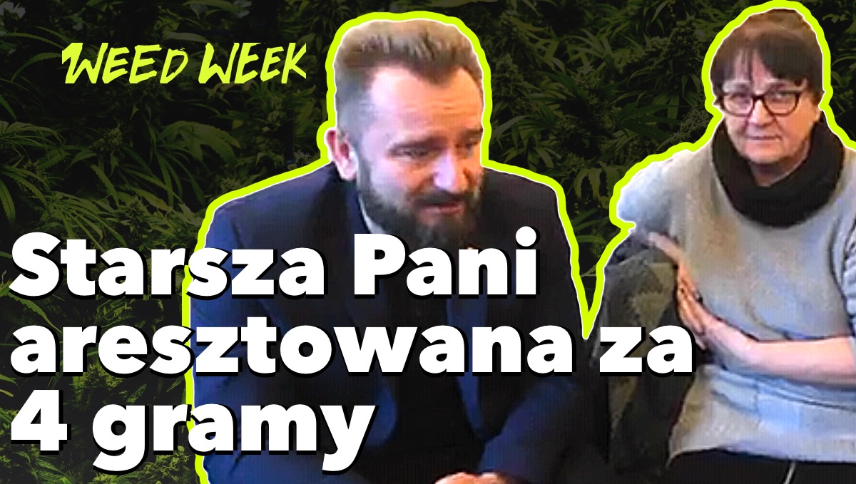 Starsza Pani aresztowana za 4 gramy - WeedWeek 23