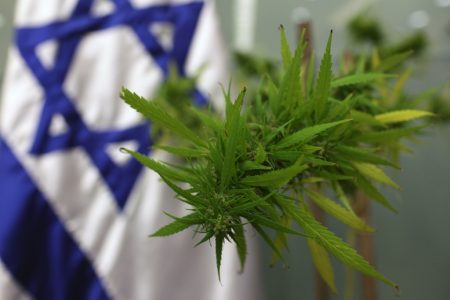 Izrael uzyskał zgode na eksport marihuany medycznej.