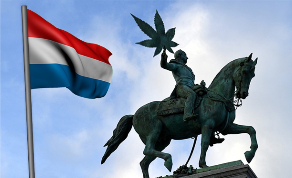 Luksemburg jako pierwszy kraj Unii Europejskiej legalizuje marihuanę rekreacyjną