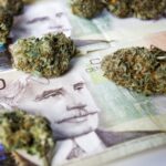 Kanadyjski rząd sugeruje aby płacić gotówką za marihuanę