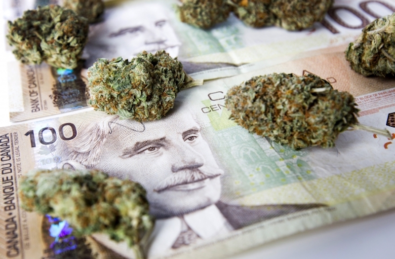 Kanadyjski rząd sugeruje aby płacić gotówką za marihuanę