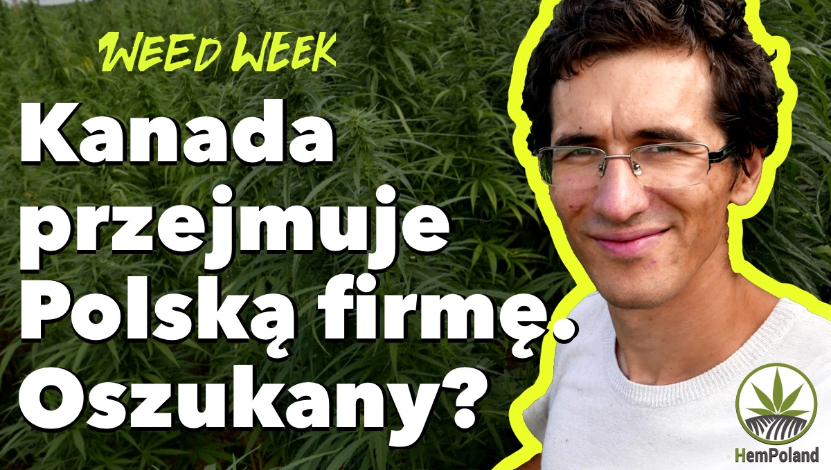 WeedWeek 25 - Kanada oszukała HemPoland. Kowalski wyrzucony ze spółki. Wyrok za 1,07 grama