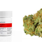 Medyczna marihuana dostępna w aptekach