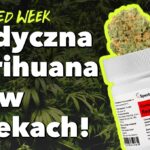 Medyczna marihuana w Aptekach, Kali i jego 1,5 metrowe Bongo oraz przemyt 60 kg marihuany