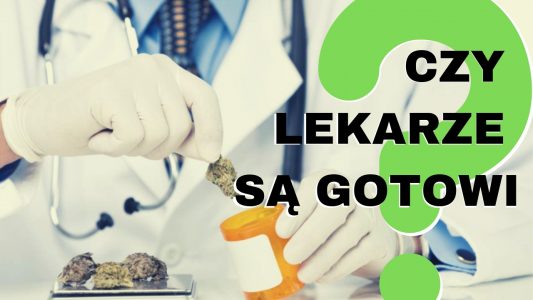 Medyczna marihuana jest już w aptekach. Czy polscy lekarze są gotowi na leczenie marihuaną?