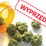 Marihuana medyczna trafiła do aptek na początku roku. 7 kg suszu zostało wyprzedane w zaledwie kilka dni. Co dalej?