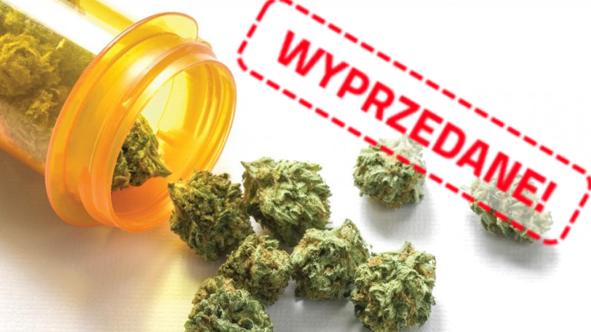 Marihuana medyczna trafiła do aptek na początku roku. 7 kg suszu zostało wyprzedane w zaledwie kilka dni. Co dalej?