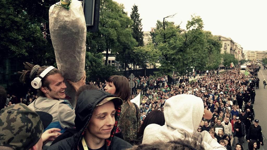 ALicja Bińkowska prowadzi badania nad użytkownikami marihuany.