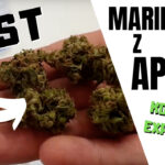 Recenzja suszu medycznej marihuany z apteki - Aurora Pedanios