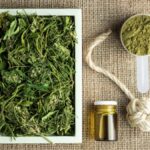 UE zwiększy limit stężenia THC w konopiach siewnych.