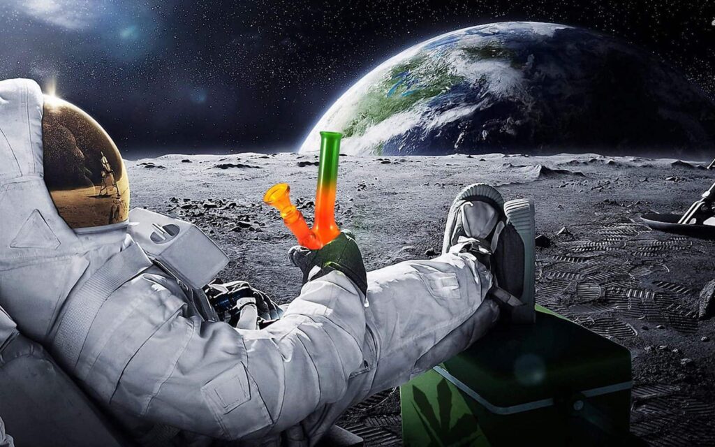 Nasiona konopi indyjskich zostaną wysłane w kosmos aby zobaczyć jaki wpływ ma na ich rozwój grawitacja, a w zasadzie jej brak.