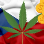 Medyczna marihuana będzie refundowana w Czechach w 90%.