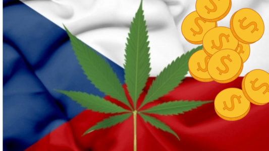 Medyczna marihuana będzie refundowana w Czechach w 90%.